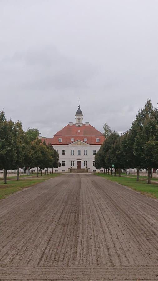 Fewo In Neustadt/Dosse, Der Stadt Der Pferde Apartment Leddin Екстериор снимка