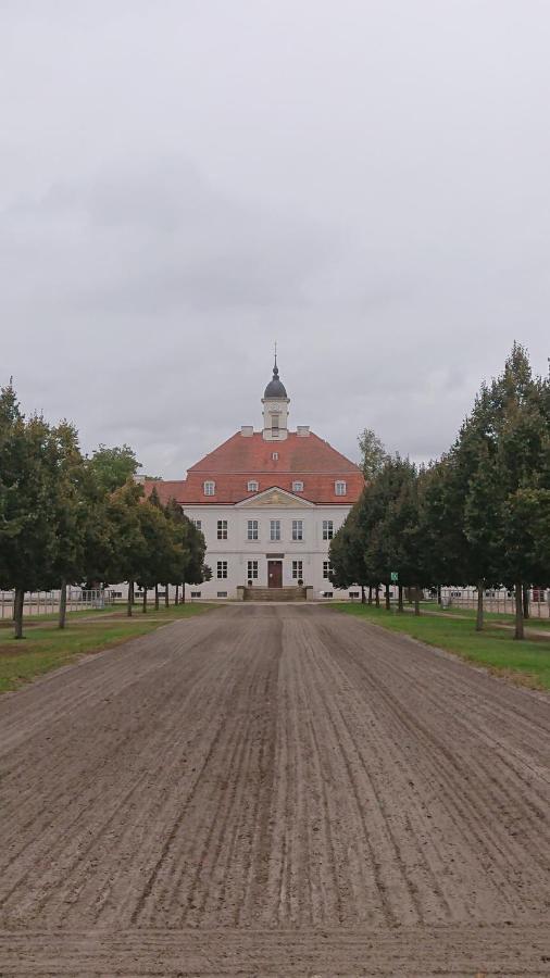 Fewo In Neustadt/Dosse, Der Stadt Der Pferde Leddin Екстериор снимка